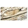 Porcelanato Calacatta Blanco Brillante - 60X120 cm - 2.88 m2