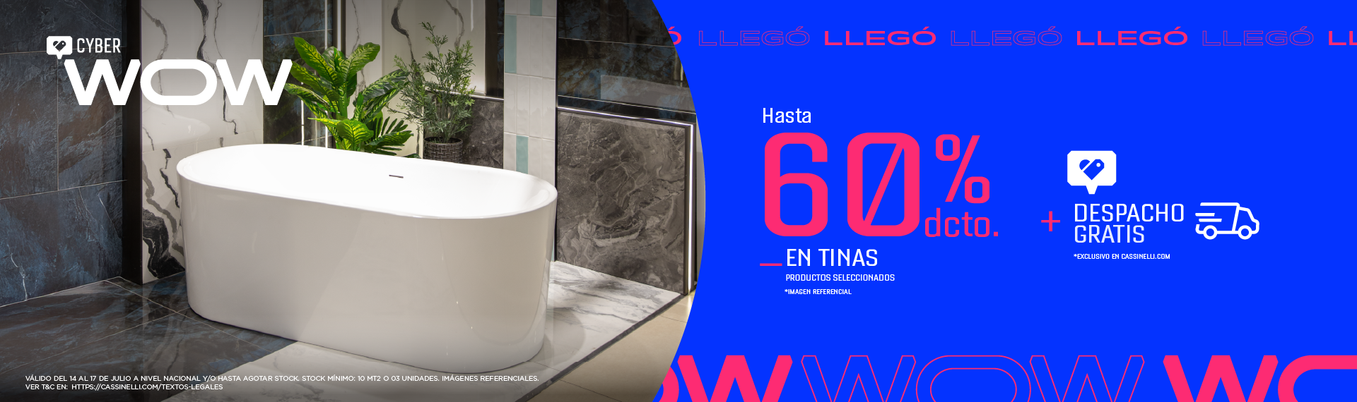 CW-HATA 60- EN TINAS.png