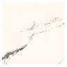 Gres Porcelánico Calacatta Grey Super Gloss - 60 x 60 cm - 1.44 m2