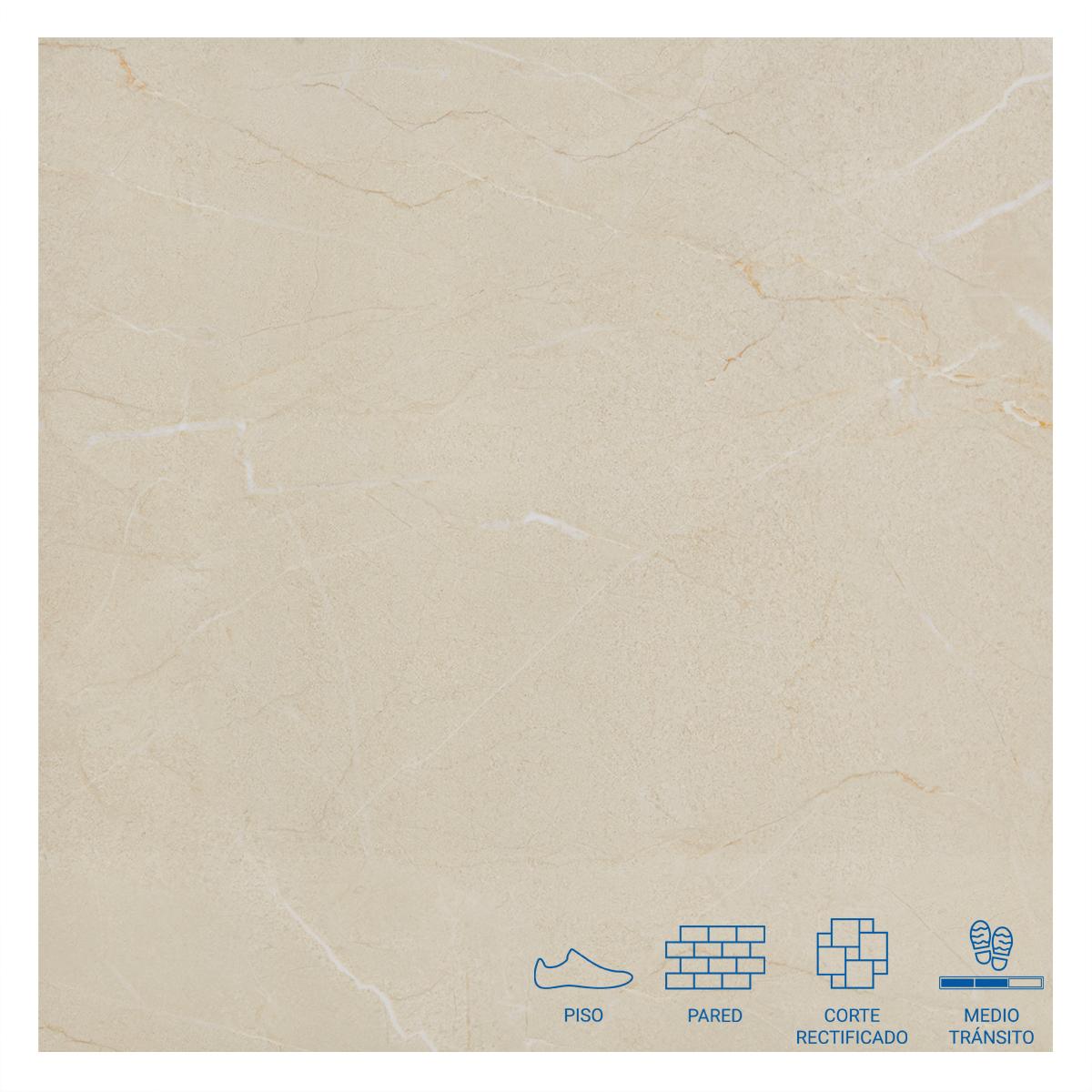 Porcelanato Garnet Gris Brillante - 60x60 cm - 1.44 m2