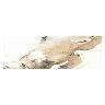 Mayólica Valeria Gold Blanco/Dorado Brillante - 25X50 cm - 2.00 m2