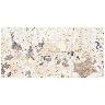 Porcelanato Cassinelli Design Patagonia Mate Rect. Dest. Text. 60X120 Caja 1.44 M2