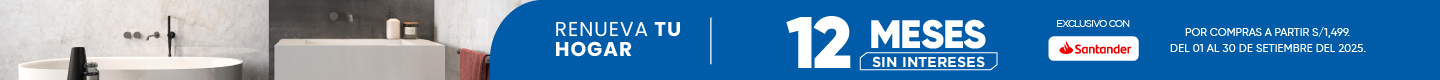 CINTILLOS DESKTOP SANTANDER.png