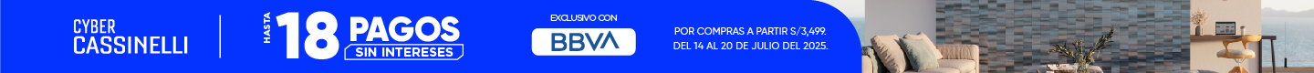 CCASS-BBVA.png