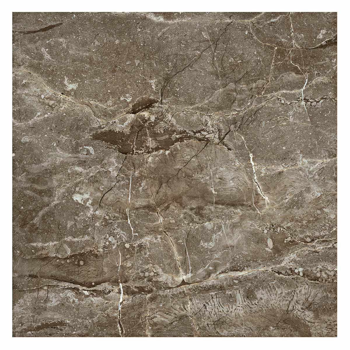Piso Rimini Grey Brillante Rectificado - 59 x 59 cm - 1.75 m2