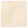 Gres Porcelánico Natural Hueso Mate - 61X61 cm - 1.48 m2