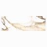 Mayólica Valeria Gold Blanco/Dorado Brillante - 25X50 cm - 2.00 m2
