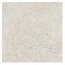 Porcelanato Fenzi Marfil Mate - 108X108 cm - 2.33 m2