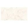 Porcelanato Alabastrino Marfil Pulido - 60X120 cm - 1.44 m2