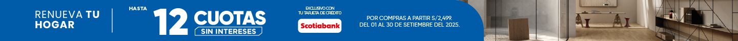 CINTILLOS DESKTOP SCOTIABANK.png